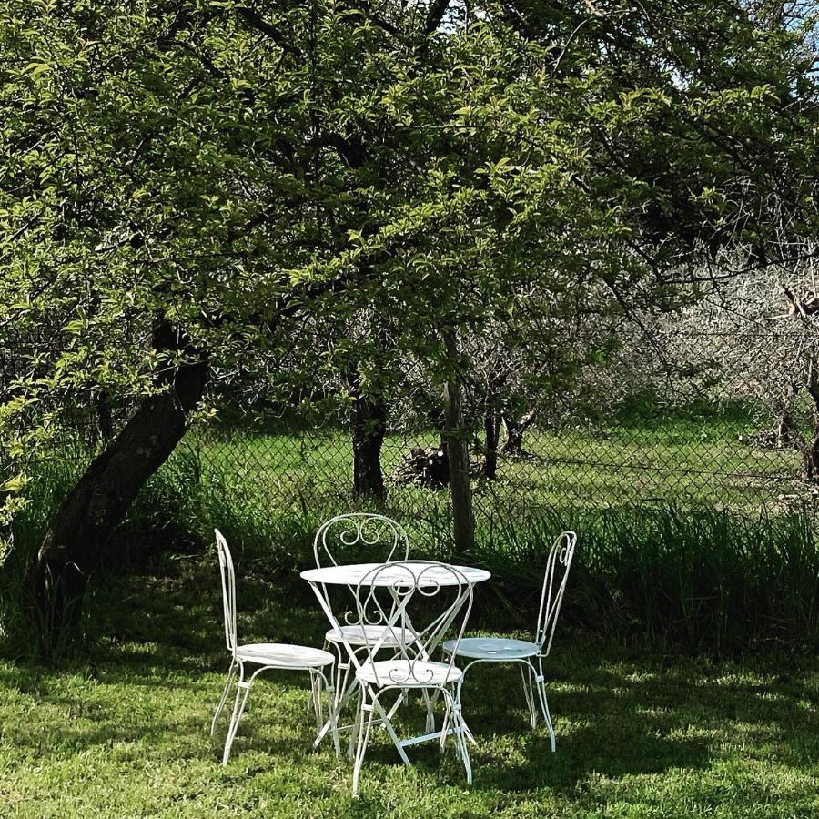 Lemon Tree Boutique Guest House Todi Exteriér fotografie