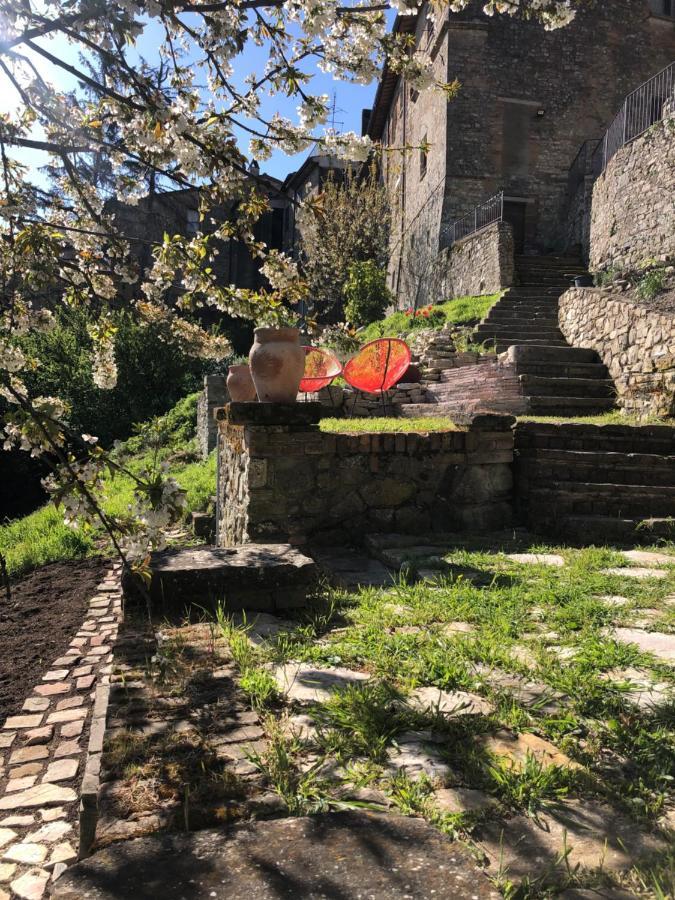 Lemon Tree Boutique Guest House Todi Exteriér fotografie