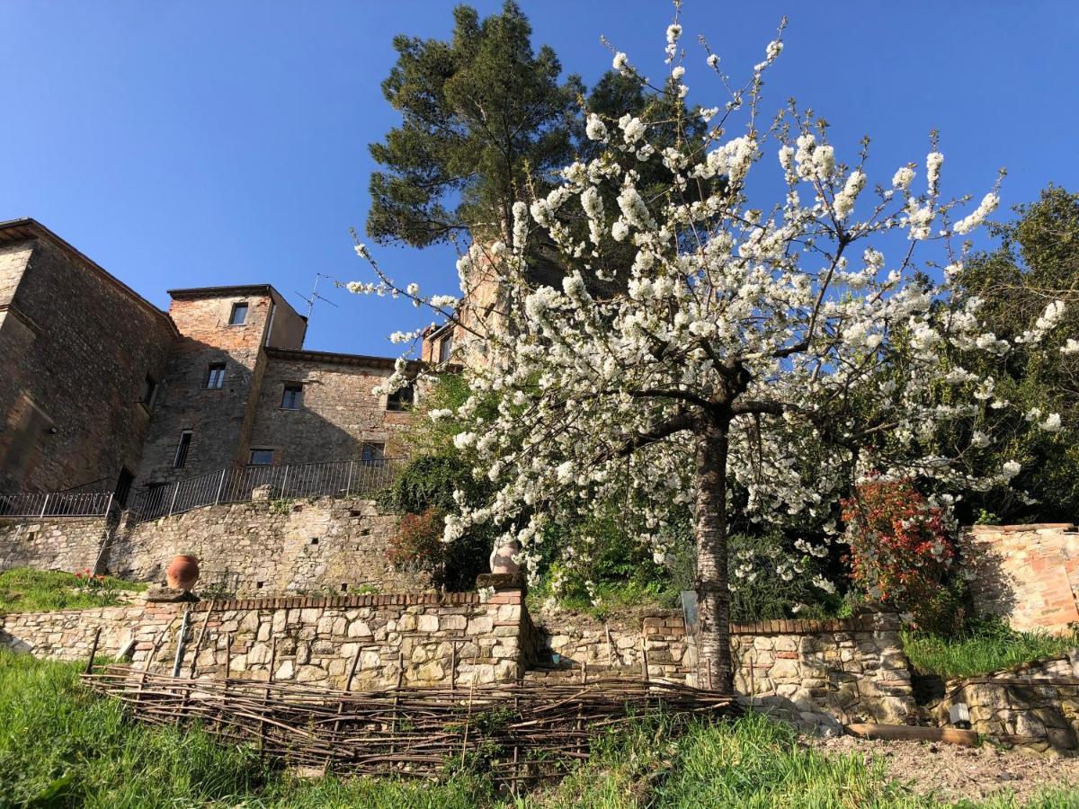 Lemon Tree Boutique Guest House Todi Exteriér fotografie